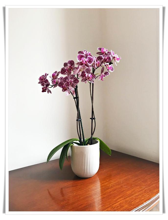 Spacious And Modern 2 Bedroom Flat Near The City Centre Единбург Екстер'єр фото